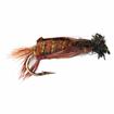 darner dragon olive